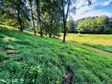 Lot 207 Clyde Ed Rd - Photo 5