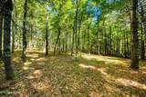218 Lonesome Pine Lane - Photo 11
