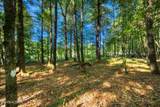 218 Lonesome Pine Lane - Photo 7