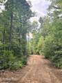  Double Top Rd - Photo 31