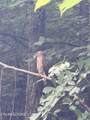  Double Top Rd - Photo 34