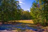 419 Palomino Run - Photo 7