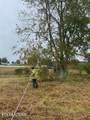 520 Lowe Rd - Photo 13