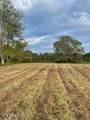 520 Lowe Rd - Photo 8