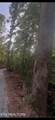 3011 Ballplay Rd - Photo 12