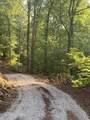 3011 Ballplay Rd - Photo 7