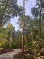 3011 Ballplay Rd - Photo 9