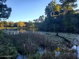 2036 Helenwood Detour Rd - Photo 9