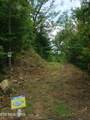 0 Fern Point Dr - Photo 12