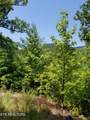 0 Fern Point Dr - Photo 14