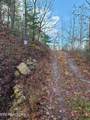 0 Fern Point Dr - Photo 15
