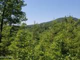 0 Fern Point Dr - Photo 7