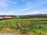 365 Young Lane - Photo 47
