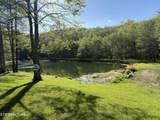 4601 White Oak Rd - Photo 5