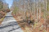 60.6 Acres Dogwood Rd - Photo 7