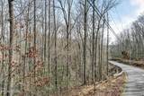 60.6 Acres Dogwood Rd - Photo 8