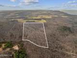 20 acres Barbee Cemetery Rd - Photo 3