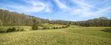 243 Black Oak Rd - Photo 31