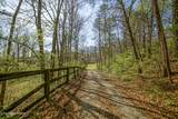 243 Black Oak Rd - Photo 46