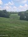 0 Jim Luttrell Lane - Photo 9