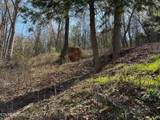 Lot 38 Johnson Lane - Photo 27