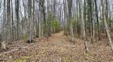 495 Bear Hollow Rd - Photo 49
