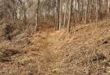 0 New Highway 68 - Photo 16