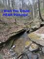 0 Hickory Creek Rd - Photo 3