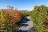  Mountain Folks Way - Photo 6