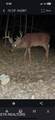  Greever Hollow Rd - Photo 10
