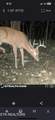  Greever Hollow Rd - Photo 13