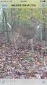  Greever Hollow Rd - Photo 16