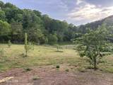 1220 Raven Hill Rd - Photo 5