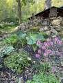 480 Holder Cemetery Rd - Photo 58