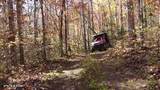 2036 Helenwood Detour Rd - Photo 12