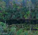 2036 Helenwood Detour Rd - Photo 20
