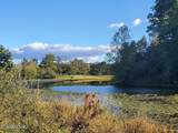 2036 Helenwood Detour Rd - Photo 4