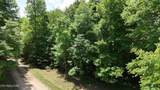 0 Sheep Ranch Rd - Photo 10