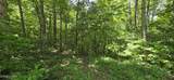 0 Sheep Ranch Rd - Photo 14