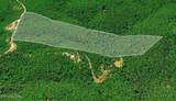 0 Sheep Ranch Rd - Photo 18