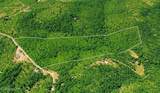 0 Sheep Ranch Rd - Photo 21