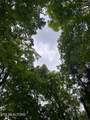 Lot 784 Russell Brothers Rd - Photo 4