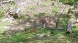 229 Sonshine Ridge Rd - Photo 7