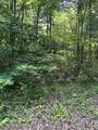 850 Lick Hollow Drive - Photo 6