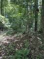 850 Lick Hollow Drive - Photo 7