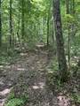 850 Lick Hollow Drive - Photo 8