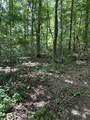 850 Lick Hollow Drive - Photo 9