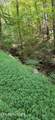 Lot 16 Black Walnut Flats Rd - Photo 2