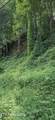 Lot 0039 Black Walnut Flats Rd - Photo 3