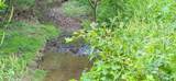 718 Kettle Hollow Rd - Photo 5